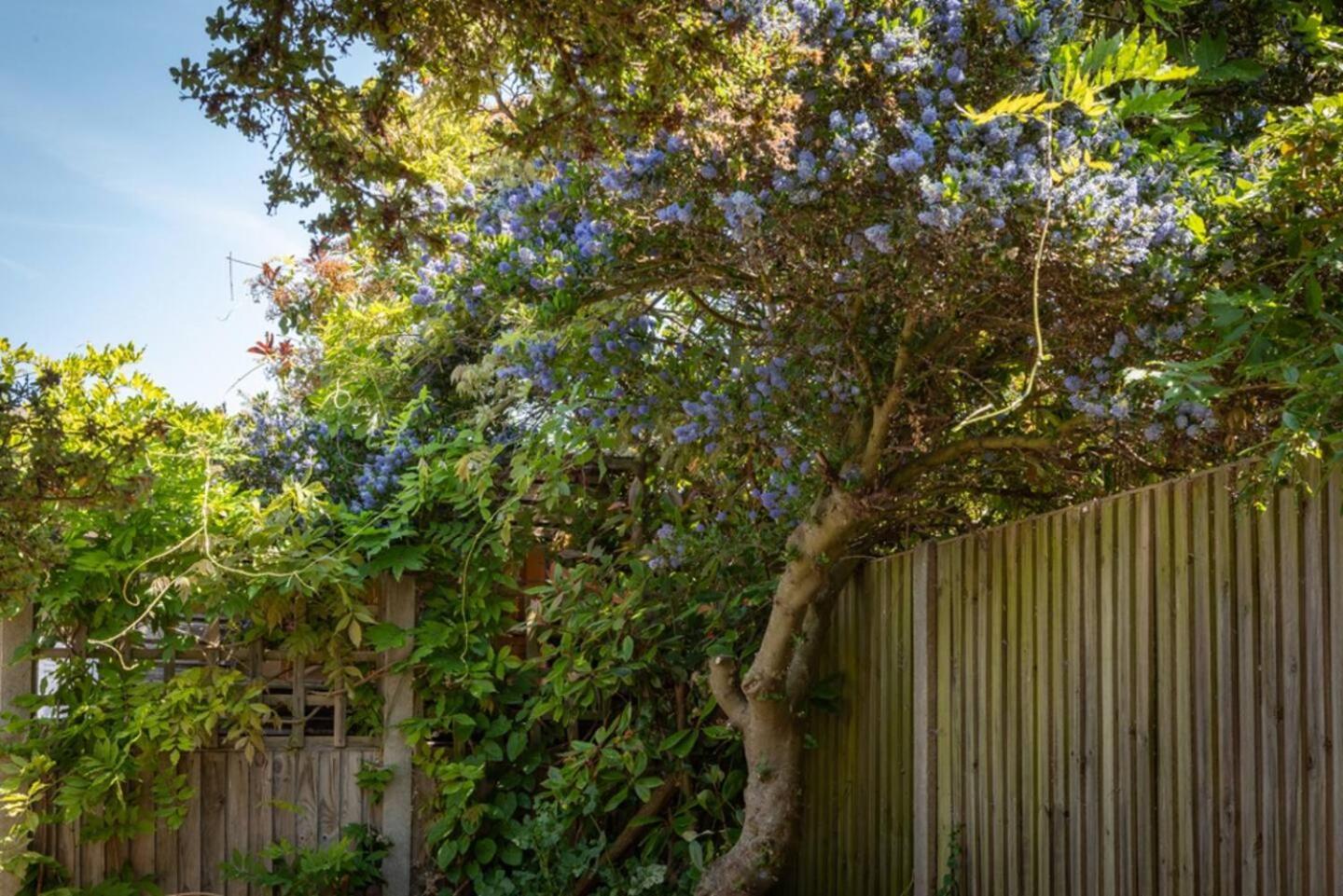 Eden Cottage Whitstable Exterior foto
